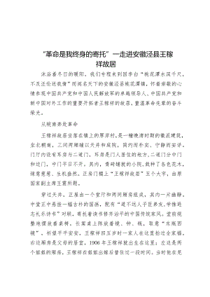 “革命是我终身的寄托”—走进安徽泾县王稼祥故居&国企改革三年行动工作总结报告.docx