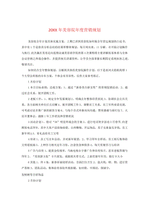 20XX年美容院年度营销规划.docx
