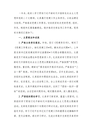 2023年党支部书记抓基层党建工作述职报告.docx