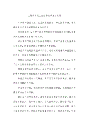 主题教育民主生活会批评意见提纲.docx