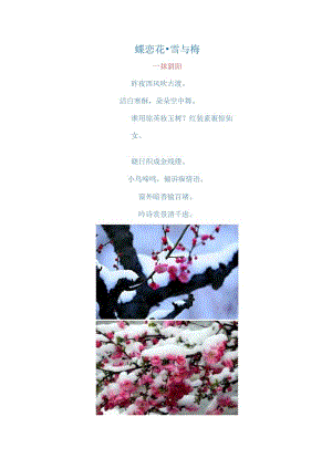 3163.蝶恋花·雪与梅2024年1月22日.docx