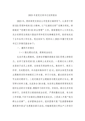 2023年度党支部书记述职报告.docx