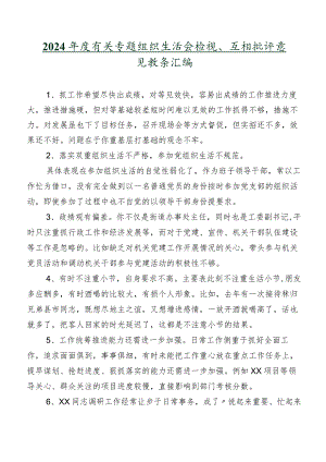 2024年度有关专题组织生活会检视、互相批评意见数条汇编.docx