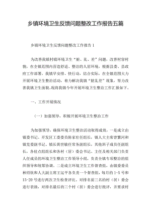乡镇环境卫生反馈问题整改工作报告五篇.docx