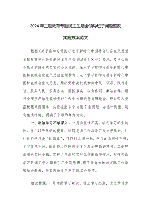 2024年主题教育专题民主生活会领导班子问题整改实施方案范文.docx