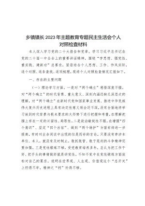 乡镇镇长2023年主题教育专题民主生活会个人对照检查材料&在党支部警示教育大会上的讲话.docx