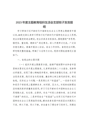 2023年度主题教育组织生活会支部班子发言提纲&国企公司正职领导年终述职报告.docx