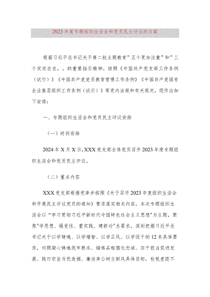 2023年度专题组织生活会和党员民主评议的方案.docx