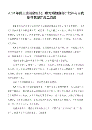 2023年民主生活会组织开展对照检查剖析批评与自我批评意见汇总二百条.docx