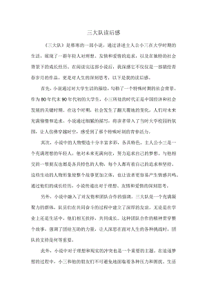 三大队读后感.docx