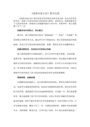 《宿新市徐公店》教学反思.docx