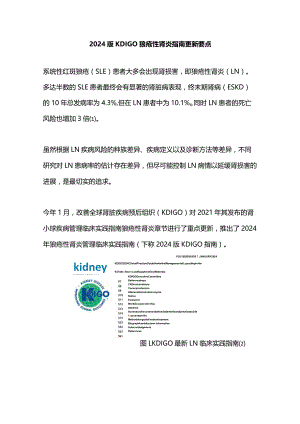 2024版KDIGO狼疮性肾炎指南更新要点.docx