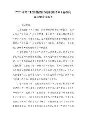 2023年第二批检视问题清单（存在问题与整改措施）.docx
