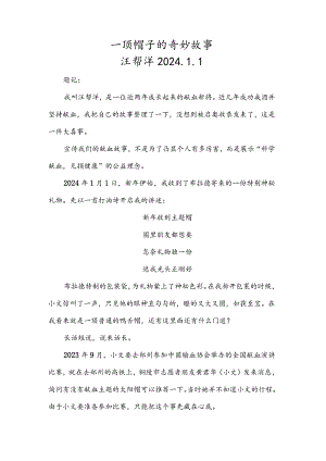 一顶帽子的奇妙故事.docx