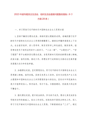2023年度专题民主生活会、组织生活会查摆问题整改措施（6个方面28条）.docx