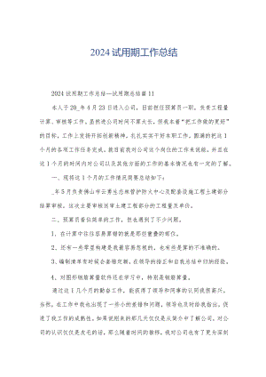 2024试用期工作总结.docx