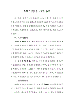 2022年个人工作总结-1.docx