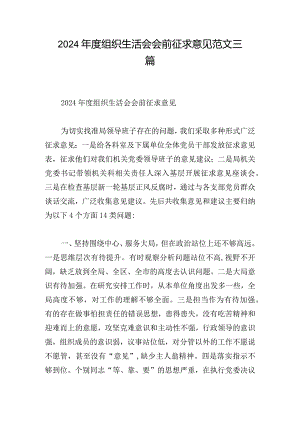 2024年度组织生活会会前征求意见范文三篇.docx