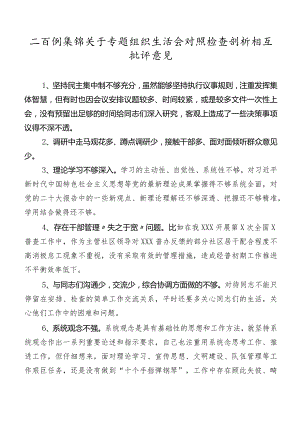 二百例集锦关于专题组织生活会对照检查剖析相互批评意见.docx