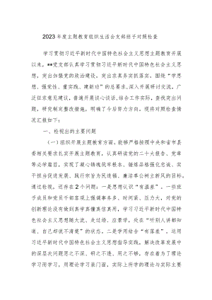 2023年度主题教育组织生活会支部班子对照检查.docx