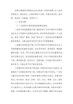 2023年度教育专题组织生活个人检查材料（四个方面）发言提纲班子六个方面.docx
