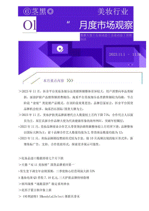 11月美妆行业洞察报告_市场营销策划_重点报告202301202_doc.docx