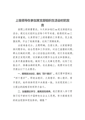 上级领导在参加某支部组织生活会时的发言.docx