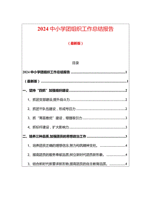 2024中小学团组织工作总结报告.docx