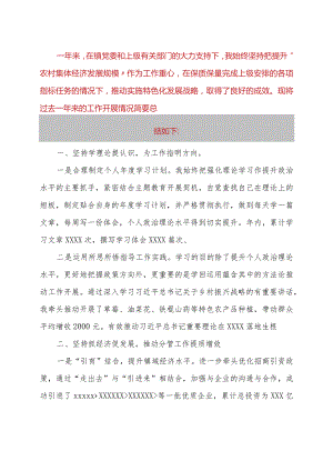 XXX镇副镇长工作总结.docx