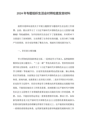 2024年专题组织生活会对照检查发言材料_1.docx