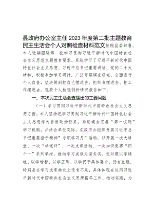 2023年度教育类民主会个人检查材料政绩观新形象工程六个自觉坚定思想维护权威领导践行宗旨全面从严责任等发言提纲.docx