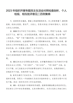 2023年组织开展专题民主生活会对照检查剖析、个人检视、相互批评意见二百例集锦.docx