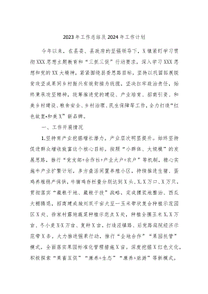 2023年工作总结及2024年工作计划3.docx