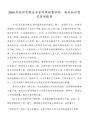 2024年组织专题生活会对照检查剖析、相互批评意见实例数条.docx