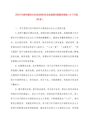 2023年度专题民主生活会、组织生活会查摆问题整改措施（6个方面28条）.docx