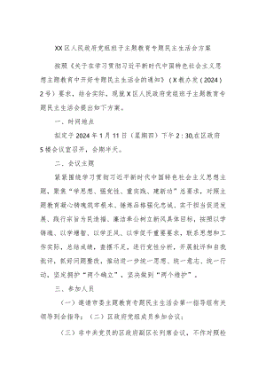 xx区人民政府党组班子主题教育专题民主生活会方案.docx