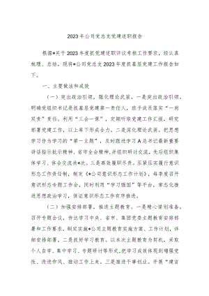 2023年公司党总支党建述职报告.docx