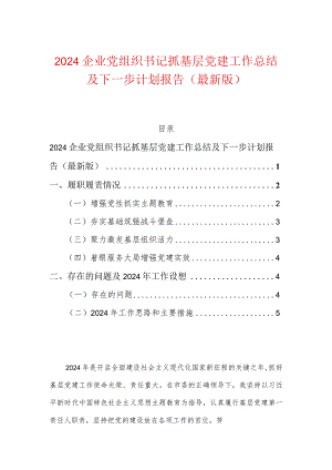 2024企业党组织书记抓基层党建工作总结及下一步计划报告.docx