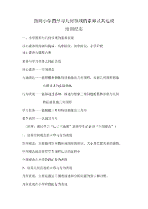 2022年11月“指向小学图形与几何领域素养及其达成”培训纪实.docx