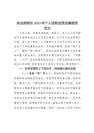 2023年个人述职述责述廉报告局工作总结汇报长.docx