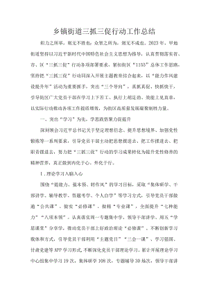 乡镇街道三抓三促行动工作总结.docx