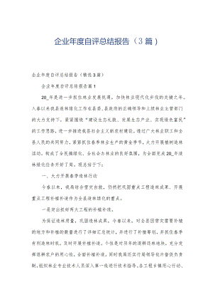 企业年度自评总结报告（3篇）.docx