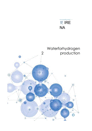 IRENA-制氢用水（英）-2023_市场营销策划_重点报告202301202_doc.docx