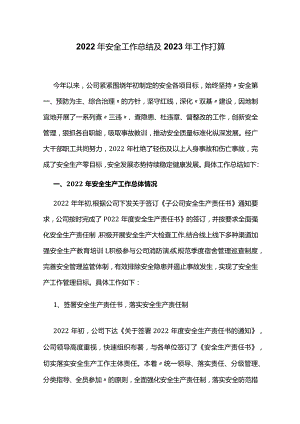 2022年安全工作总结及2023年工作计划.docx