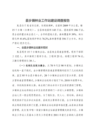 县乡镇林业工作站建设调查报告.docx
