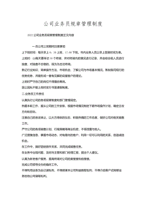 公司业务员规章管理制度.docx