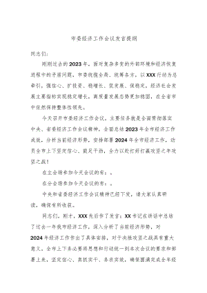 市委经济工作会议发言提纲.docx