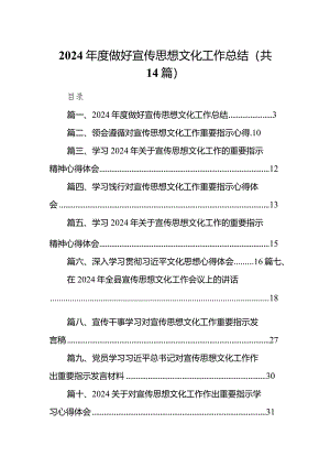2024年度做好宣传思想文化工作总结范文14篇（详细版）.docx
