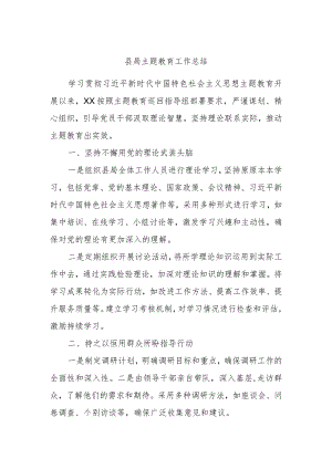 县局主题教育工作总结.docx