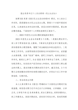 国企党委书记个人发言提纲（民主生活会）.docx